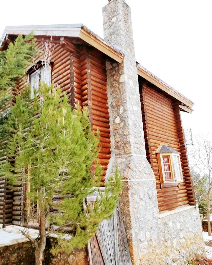 Paradise Chalet Ano Trikala Eksteriør billede