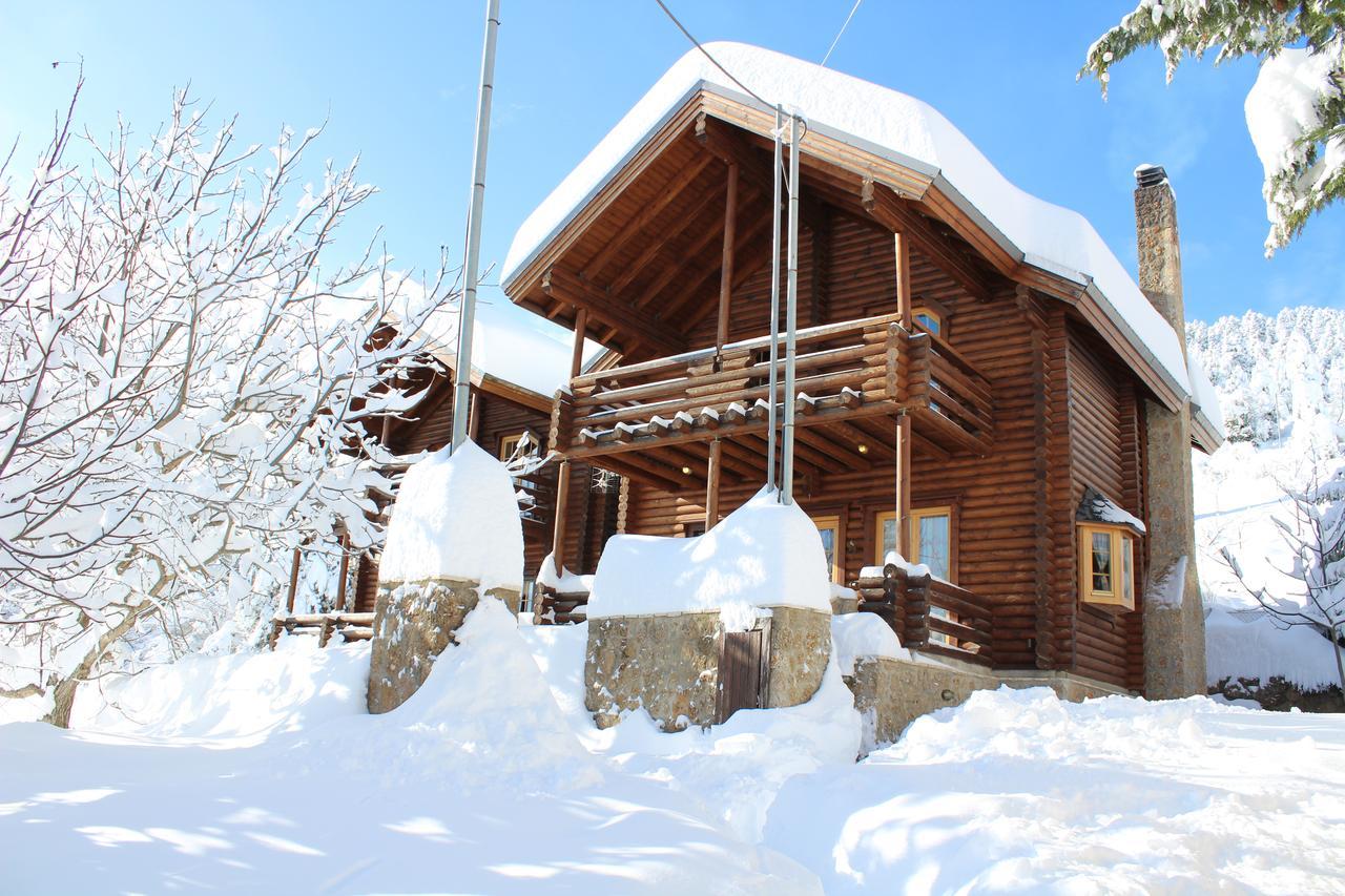 Paradise Chalet Ano Trikala Eksteriør billede