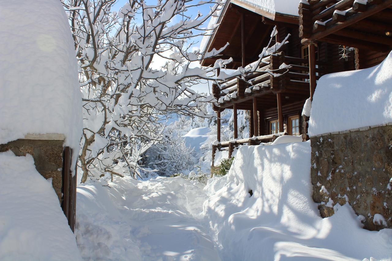 Paradise Chalet Ano Trikala Eksteriør billede